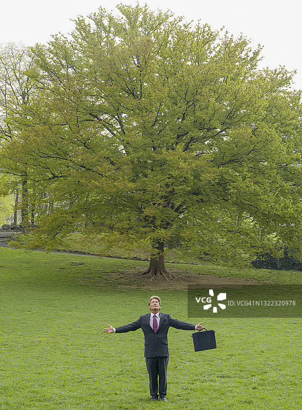 商人伸展双臂，置身于绿色草地中图片素材