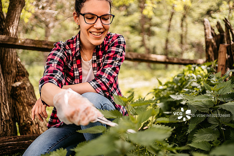 女人在花园里采摘荨麻图片素材