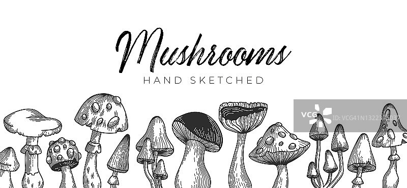 蘑菇banner图片素材