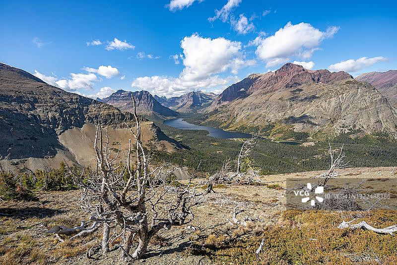 美国蒙大拿州冰川国家公园双药湖及枯树景观图片素材