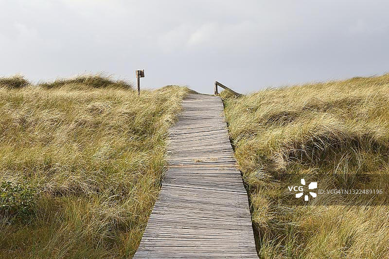 穿越沙丘景观的木板路，阿姆鲁姆岛，北弗里西亚群岛，石勒苏益格-荷尔斯泰因，德国图片素材