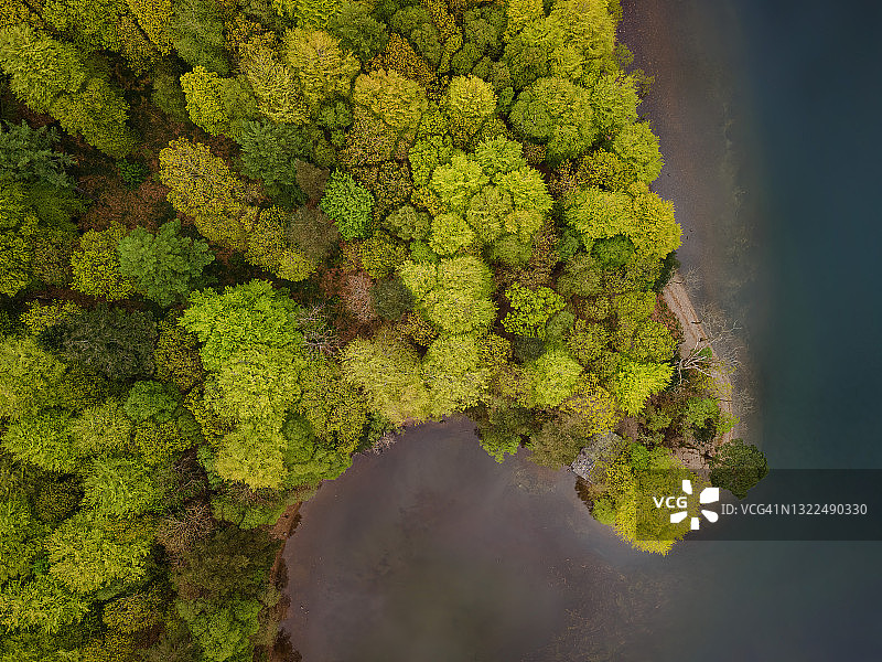 湖边的树木图片素材