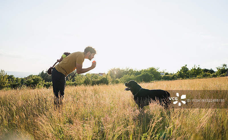 男人在田野里训练狗图片素材
