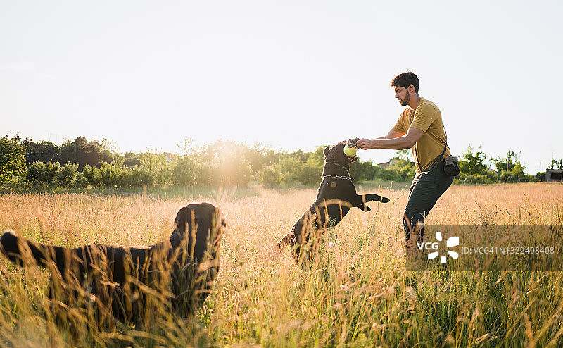 男子在田野里和他的狗玩耍图片素材