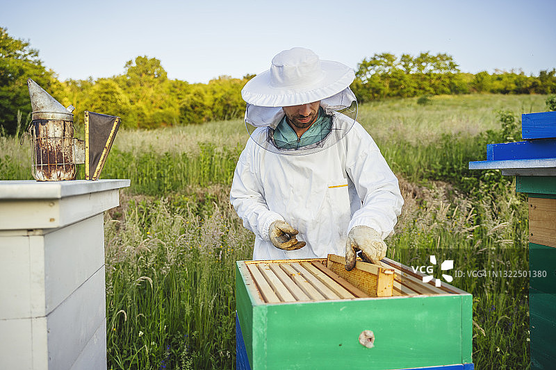 带着蜂框的养蜂人图片素材