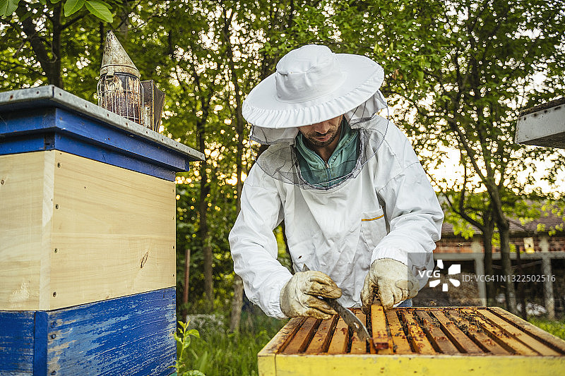 带着蜂框的养蜂人图片素材