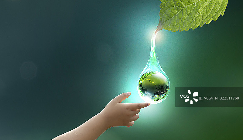 可再生能源概念地球日或环境保护手保护生长在地上的森林，帮助拯救世界。图片素材