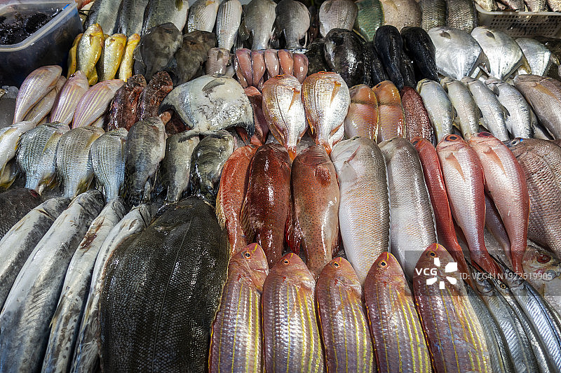 市场上的新鲜鱼图片素材