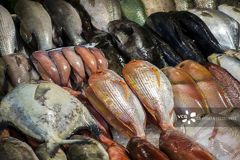 市场上的新鲜鱼图片素材