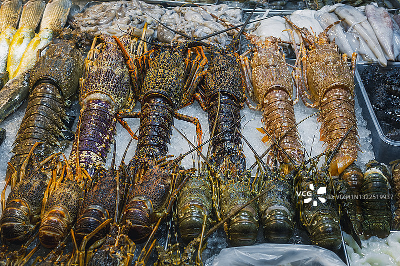 市场上的龙虾图片素材
