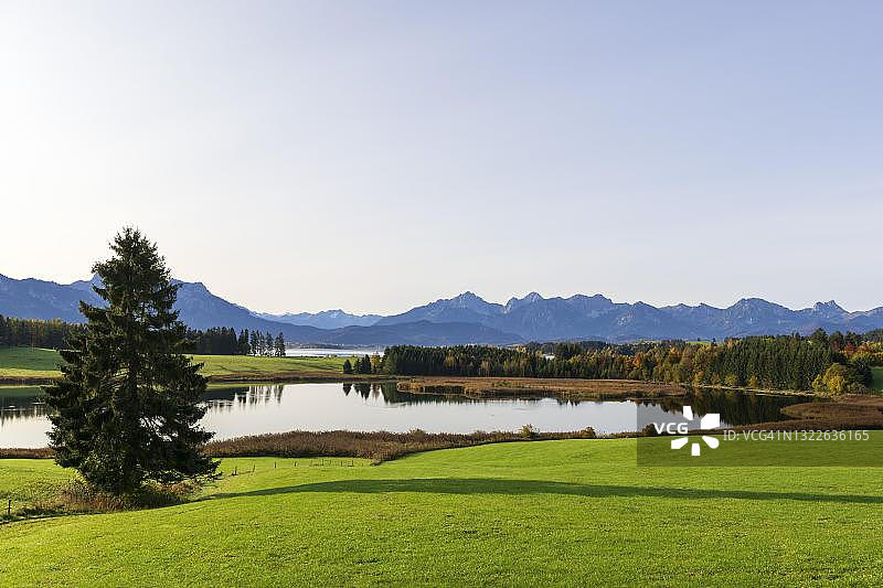 德国巴伐利亚东阿尔高，福森附近的福尔根湖，坦海姆山图片素材