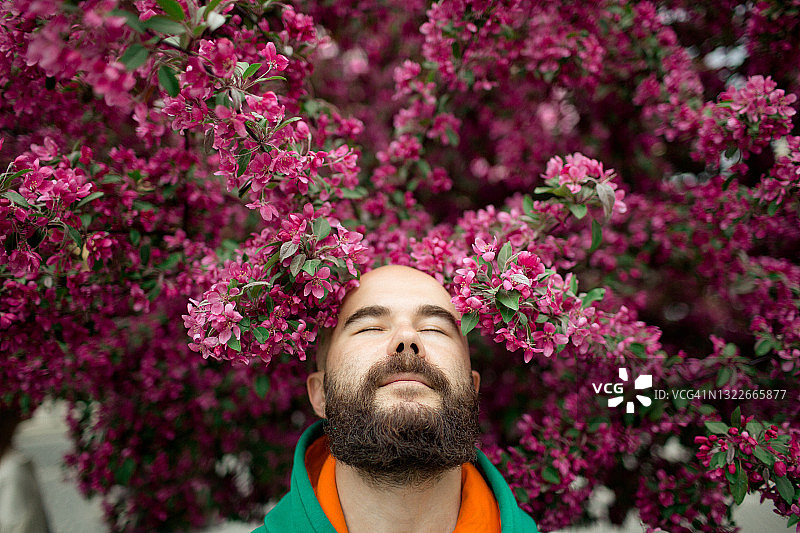 开花树下，留着胡须的男子面露憧憬图片素材