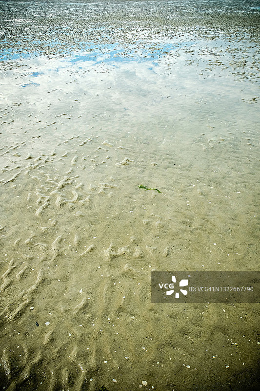 索姆湾河口退潮时显露的植物、沙滩和天空云朵的倒影图片素材