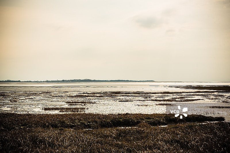 索姆湾入海口日落：退潮时，海洋植物和沙滩显露在橙色天空下图片素材