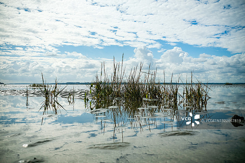 索姆湾河口退潮时显露的植物、沙滩和天空云朵的倒影图片素材