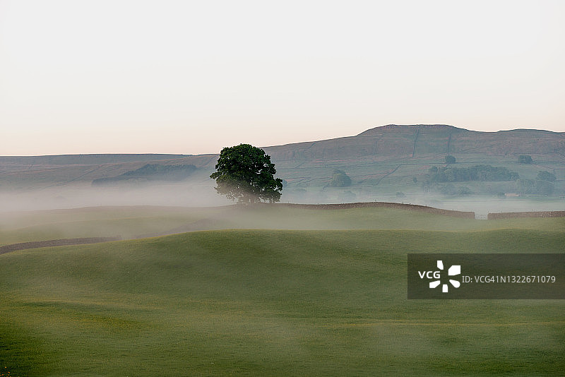 雾气蒙蒙的田野图片素材