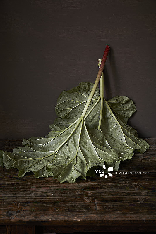 木质表面的绿叶背面图片素材