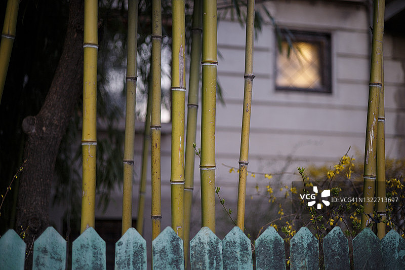 门廊上的竹子图片素材