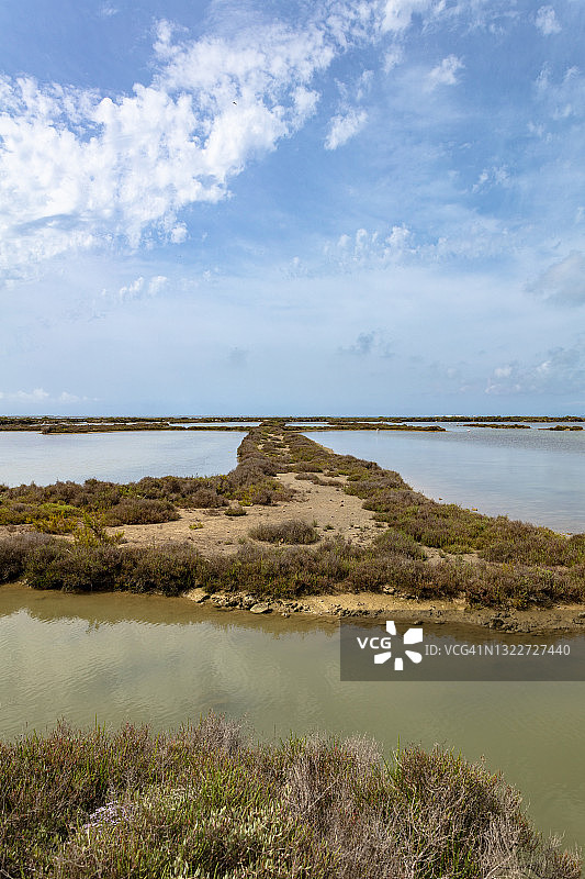 埃布罗河三角洲自然保护区图片素材