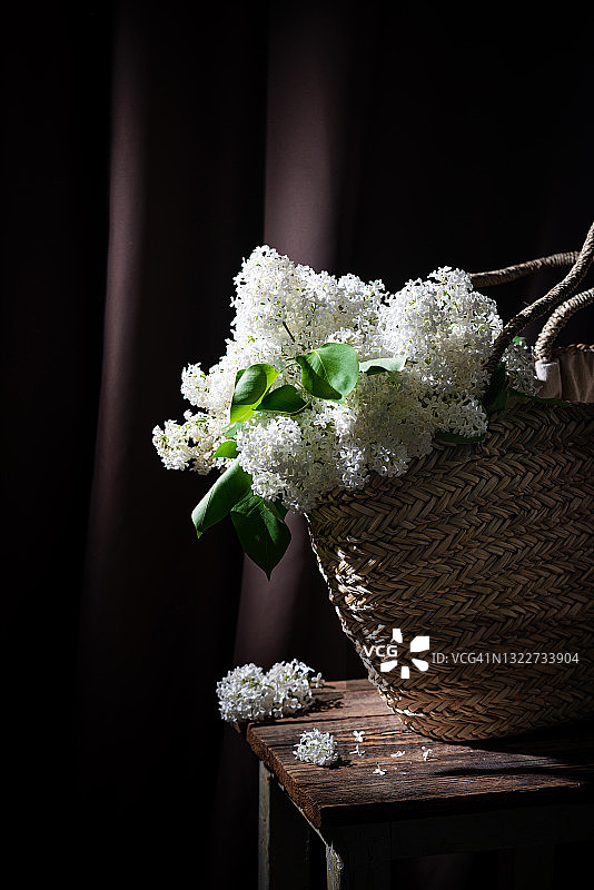 白色丁香花束图片素材