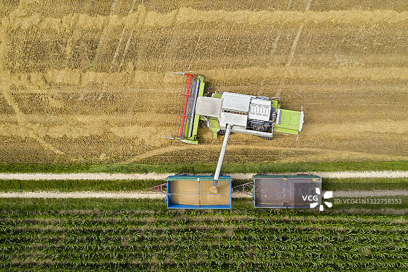 联合收割机将玉米粒倒入拖车图片素材