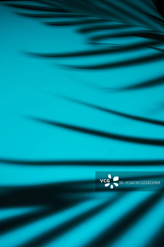 蕨类植物阴影形成的鲜艳蓝色抽象背景图片素材