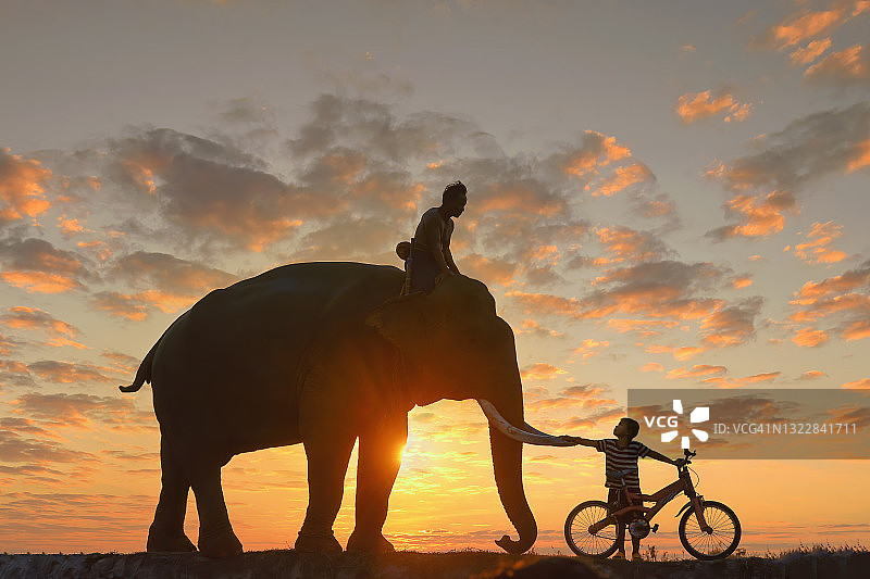 在泰国，驯象师骑着大象和男孩骑自行车的剪影图片素材