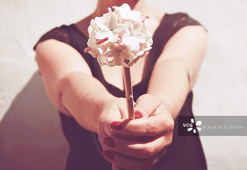 女人手持茉莉花，西班牙图片素材