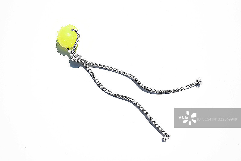 白色背景上的宠物玩具图片素材