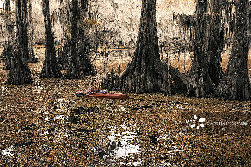 在柏树沼泽中划皮划艇图片素材