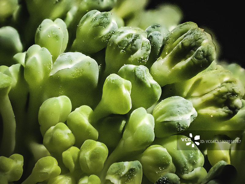 西兰花特写图片素材