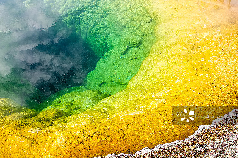 色彩斑斓的牵牛花池图片素材