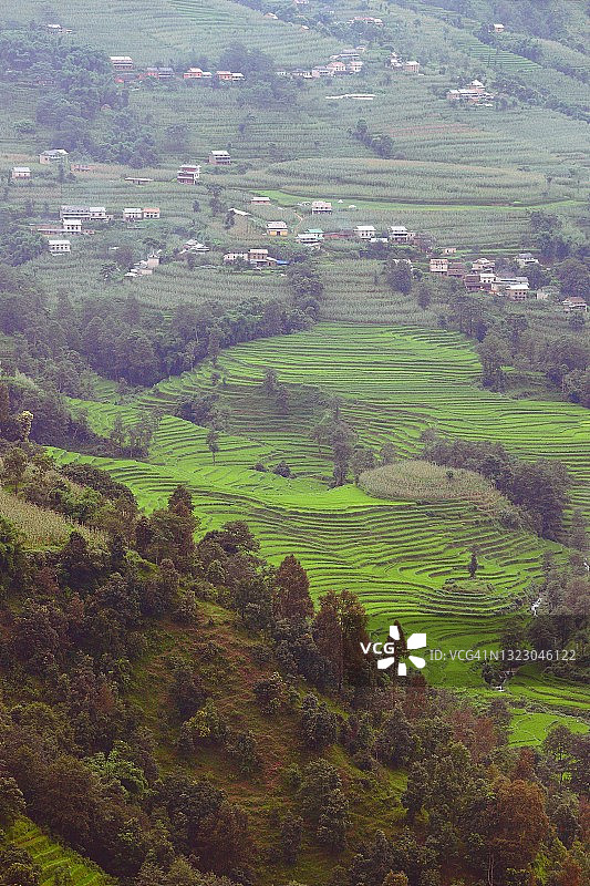 村庄和稻田梯田图片素材