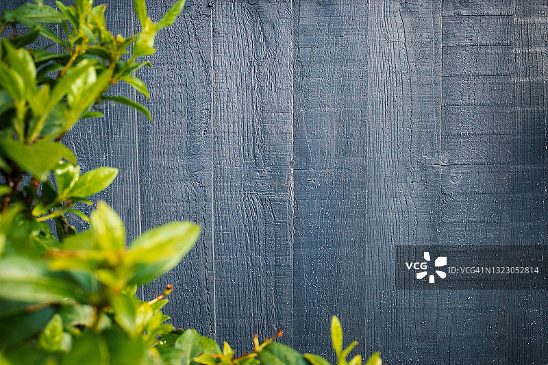 园艺背景图片素材