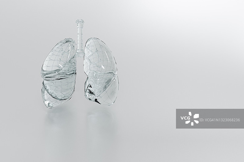 人体内部器官3D渲染图片素材