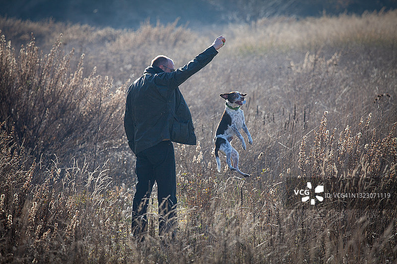 男人用球训练他的狗，狗狗高高跃起接住球图片素材