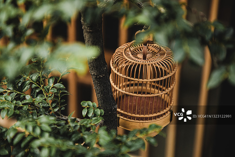 绿色植物和装饰性中式鸟笼图片素材