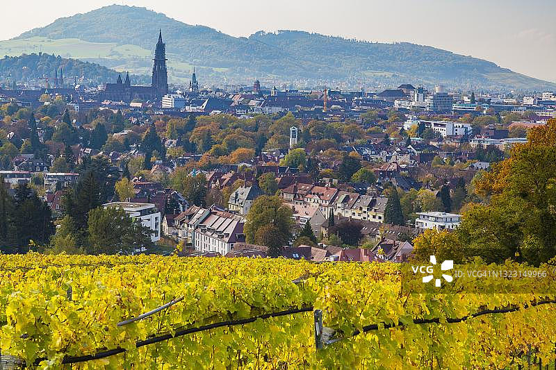 秋季的弗莱堡大教堂和葡萄园，弗莱堡，巴登-符腾堡州，德国图片素材