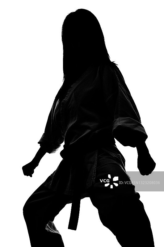 传统武术基金会图片素材