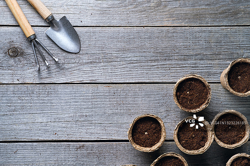 泥炭盆中摆放着装满土壤的种子，园艺工具和木桌背景图片素材