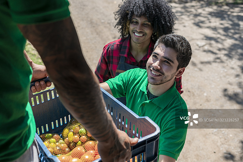 两名拉丁裔男子在农作物中卸载卡车上的收成图片素材