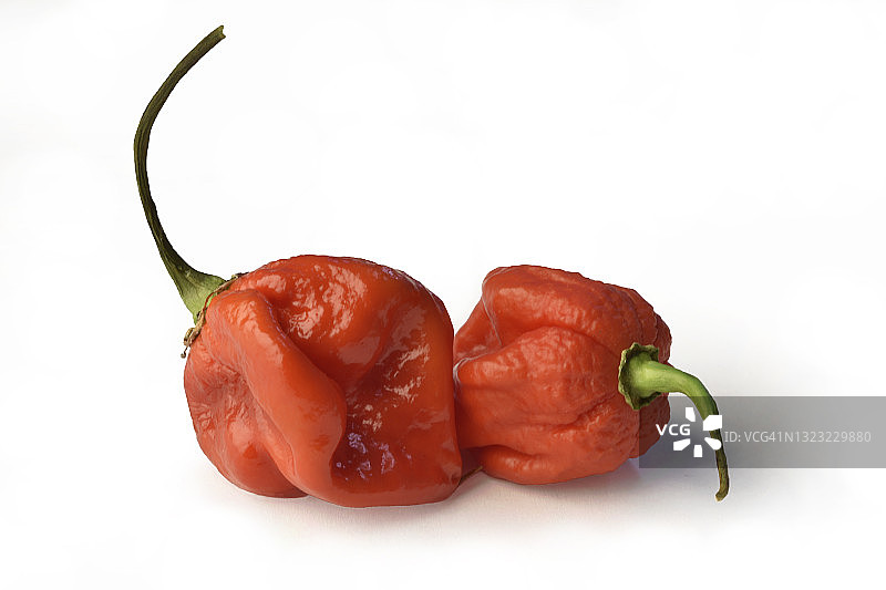 蝎子椒图片素材