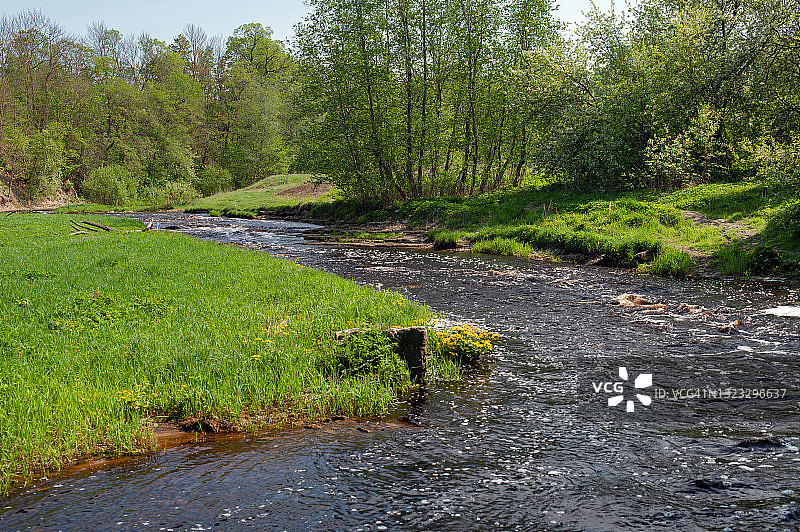 阳光明媚的春日里，湍急的河流和瀑布图片素材