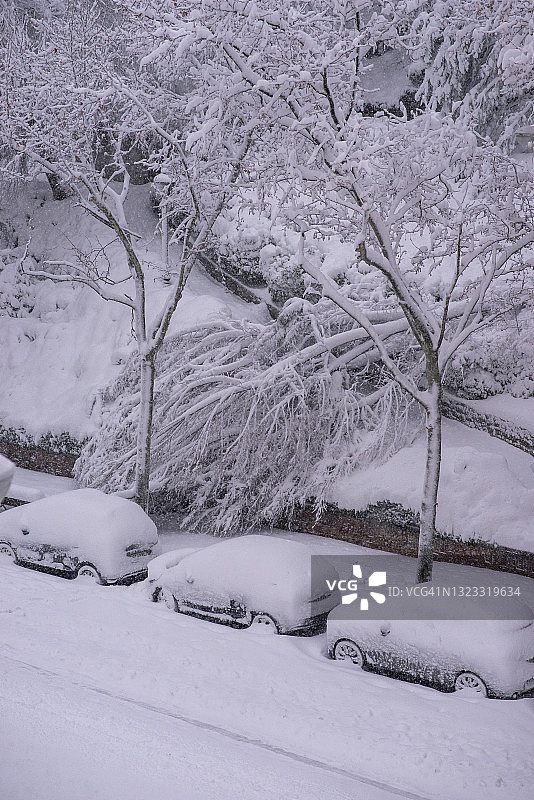 马德里白雪皑皑的汽车和倒下的树木图片素材