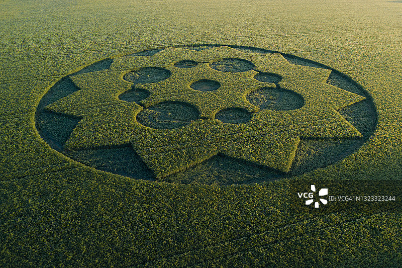 英格兰农田中的麦田怪圈无人机视角图片素材