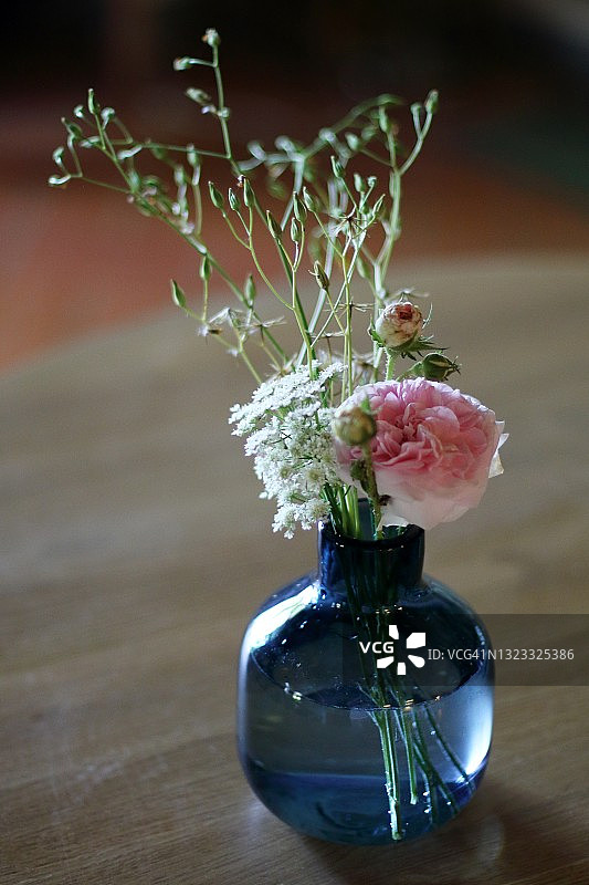 夏季花果图片素材