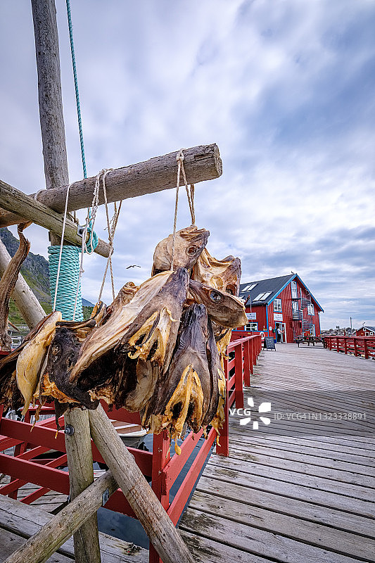 悬挂在绳子上的鳕鱼干头图片素材