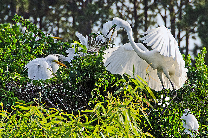 妈妈的家图片素材