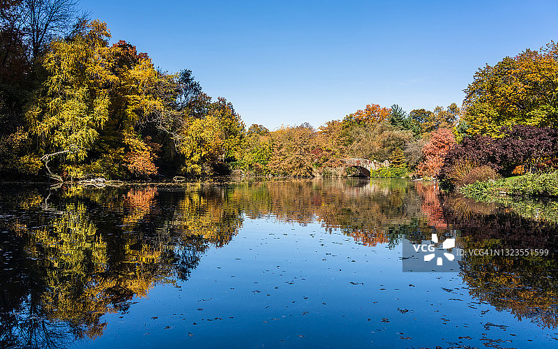 纽约中央公园的秋叶图片素材
