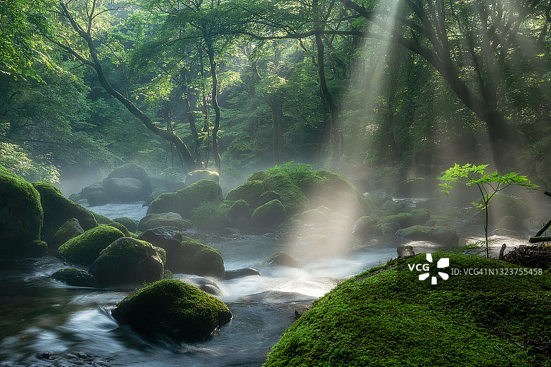 清晨阳光洒在秋元湖上图片素材